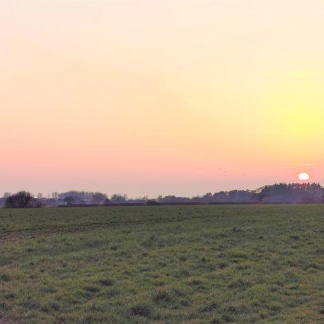 Sunset field 3
